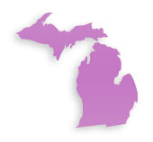Cosmetic Plastic Surgeons in Michigan