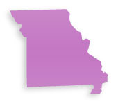 Cosmetic Plastic Surgeons in Missouri