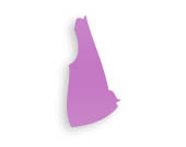 New Hampshire Cosmetic Plastic Surgeons