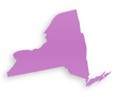 Cosmetic Plastic Surgeons in New York