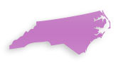 Cosmetic Plastic Surgeons in North Carolina