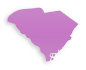 South Carolina Cosmetic Plastic Surgeons