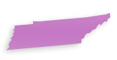 Tennessee Cosmetic Plastic Surgeons