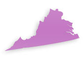 Virginia Cosmetic Plastic Surgeons