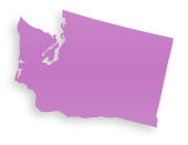 Washington Cosmetic Plastic Surgeons