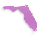 Florida Cosmetic Surgeons