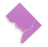 Waghington DC Plastic Surgeons